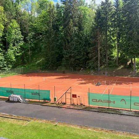 Апартаменты Ve Sportovni Hale *