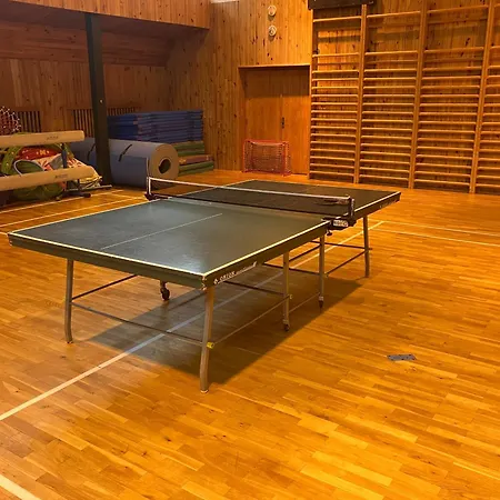 Апартаменты Ve Sportovni Hale