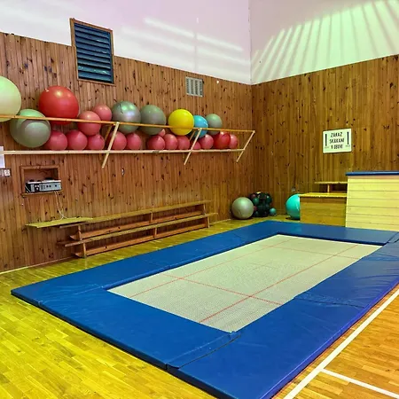 Апартаменты Ve Sportovni Hale *