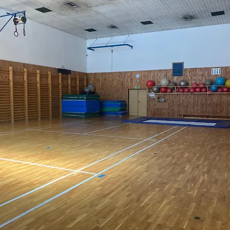Апартаменты Ve Sportovni Hale