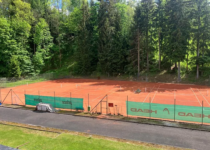 Appartement Ve Sportovni Hale *