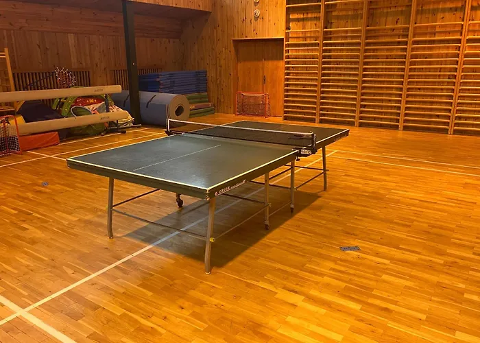 Appartement Ve Sportovni Hale