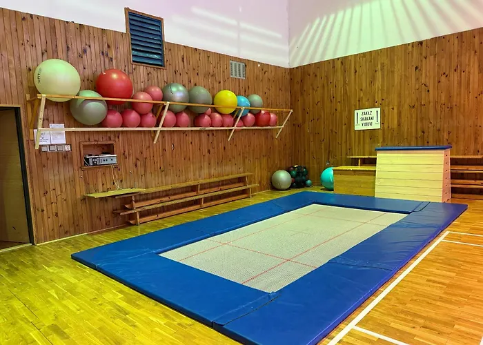Appartement Ve Sportovni Hale *